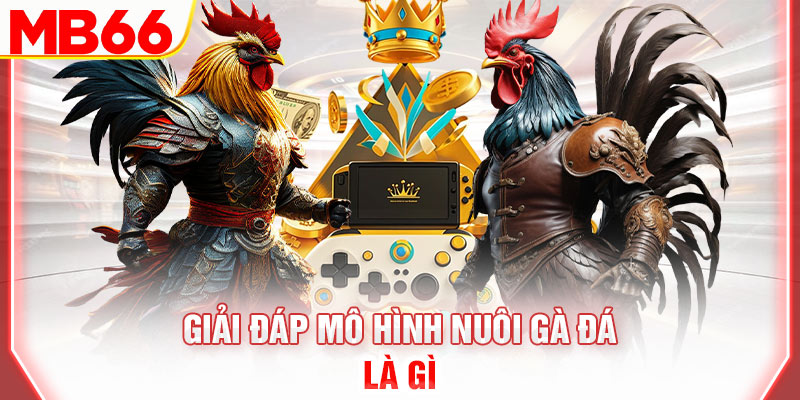 giai-dap-mo-hinh-nuoi-ga-da-la-gi