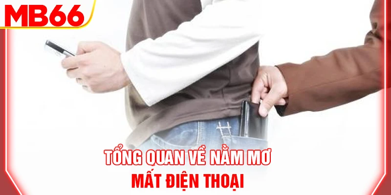 tong-quan-ve-nam-mo-mat-dien-thoai