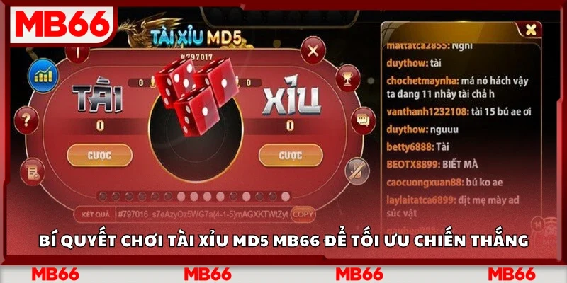 Bí quyết chơi Tài Xỉu MD5 Mb66 để tối ưu chiến thắng